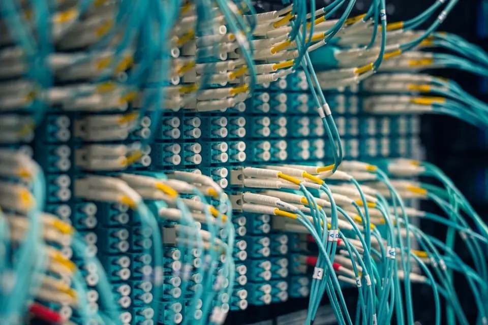 Patch Cables Plugged in Patch Panel